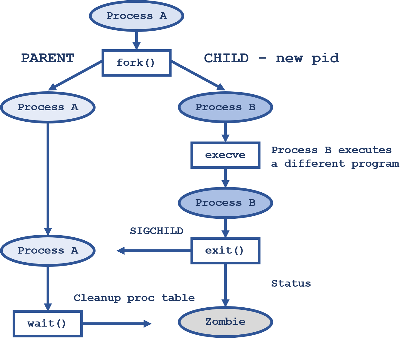 What Are Posix Processes And Virtual Memory